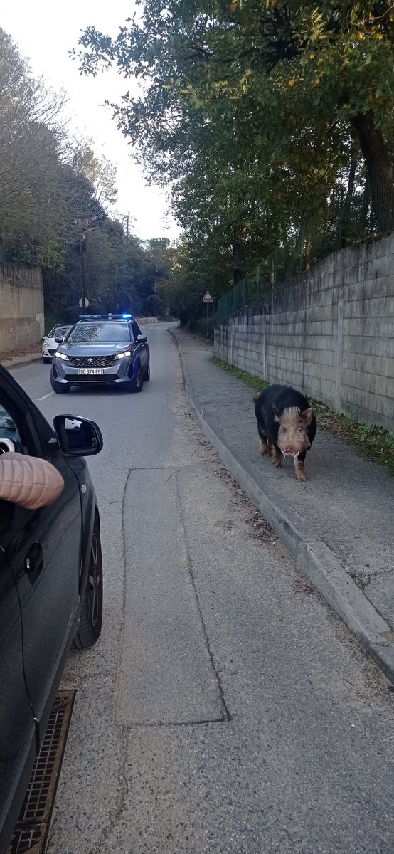 Police Nationale 30 tweet media