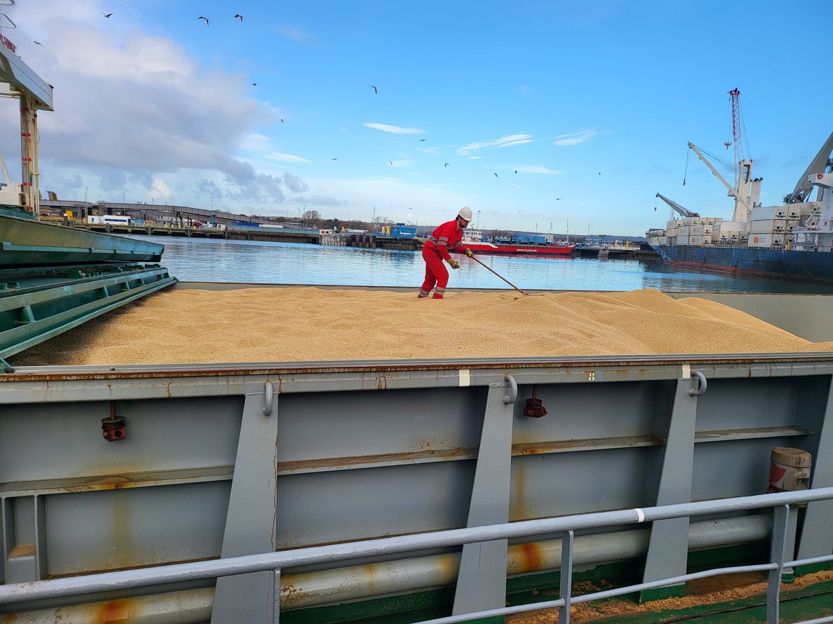 Barham Lab Services tweet media