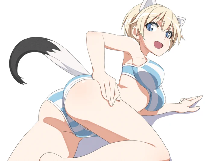 ブレイブウィッチーズのニパさん～ 
