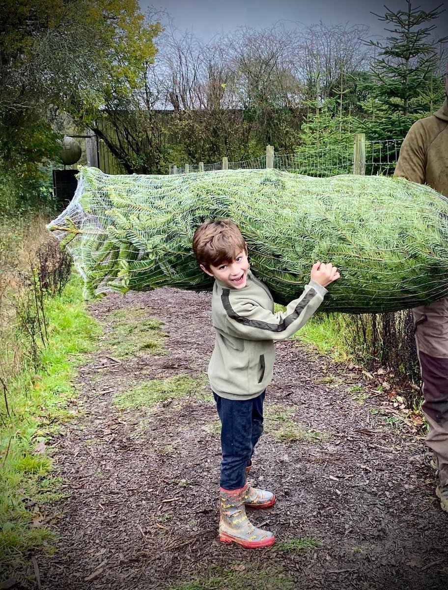 Phil___Bailey's tweet photo. Never underestimate the level happiness you can bring to a child at this time of year 🎅🏻 Especially when you hand them an axe and go off to chop down a couple of Christmas Trees 🎄🪓😀 https://t.co/ayhBRunzCw