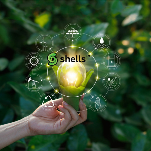 Shells.com tweet media