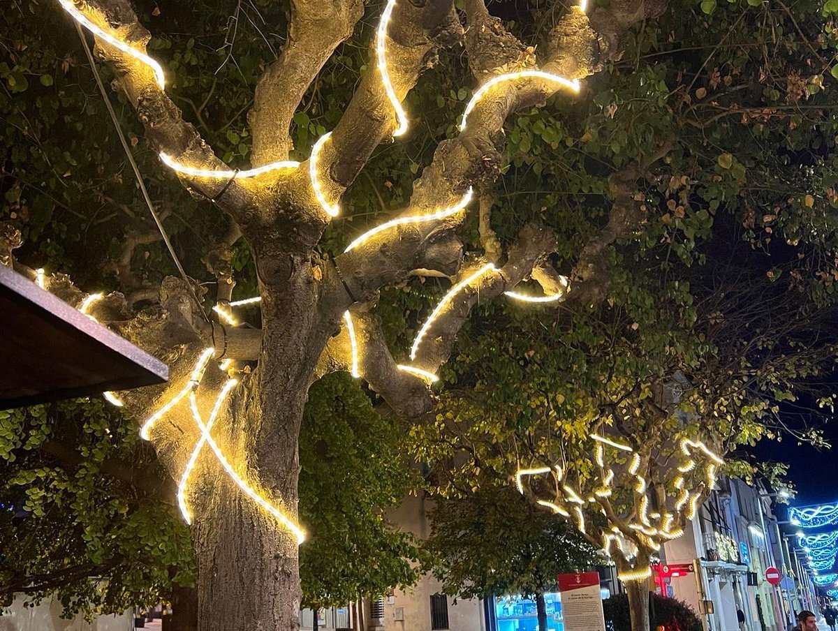 PSClaGarriga's tweet photo. 🛍️ Aquestes festes aprofita i fes les teves compres nadalenques a #LaGarriga, fomentem el comerç local!

🎄Aquest cap de setmana ha tingut lloc l’encesa de llums en la Festa de la Llum de @ASICLAGARRIGA .

🧑🏻‍🎨 La Fira de Nadal del Barri de Dalt i el Petits Encants Market! https://t.co/pAoERTCoqh