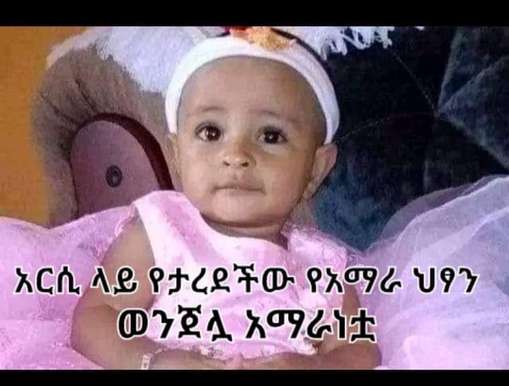 ManayeAddisu's tweet image. During a genocide, silence is complicity! Massacre after massacre, the IC is failing humanity by staying silent on #AmharaGenocide. #NeverAgain 
@HolocaustMuseum
 
@UNOSAPG
 
@hrw

Pic: 8 month baby killed in Arsi just a few weeks ago because of her ethnic Amhara identity.