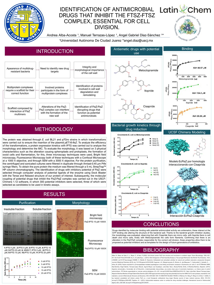 Acos1Alba's tweet photo. Hi @LatinXChem, here is my Work Ifrntification of anatimicrobial drugs that inhibit the FtsZ-FtsZ complex, essential for cell division. #BIO013 #LXChemBio #LatinXChem22 #AntimicrobialResistance # https://t.co/boJ43aIIBt