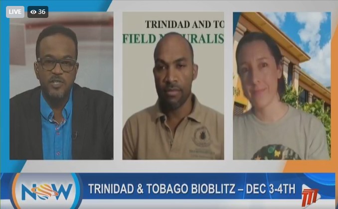 Had fun chatting to Kimberly &amp; <a href="/MrRawkus/">Mr. Rawkus</a> about this year's #Bioblitz on <a href="/tttliveonline/">TTT Live Online</a> this morning! If you are in #Jamaica, #TrinidadandTobago or #Barbados please join us next weekend as we record #biodiversity together in our own backyards! More info: linktr.ee/ttbioblitz