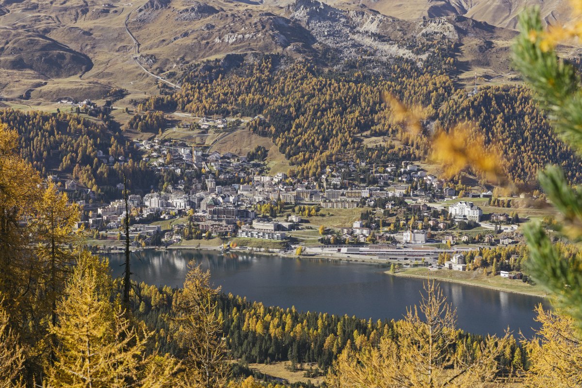 In der Sommersaison 2022 (Mai bis Oktober) konnten 368'855 Logiernächte in der St. Moritzer Hotellerie, Parahotellerie und Camping generiert werden. Dies sind 10 % mehr als im Jahr 2021. Der Anteil ausländischer Gäste betrug 55 %.