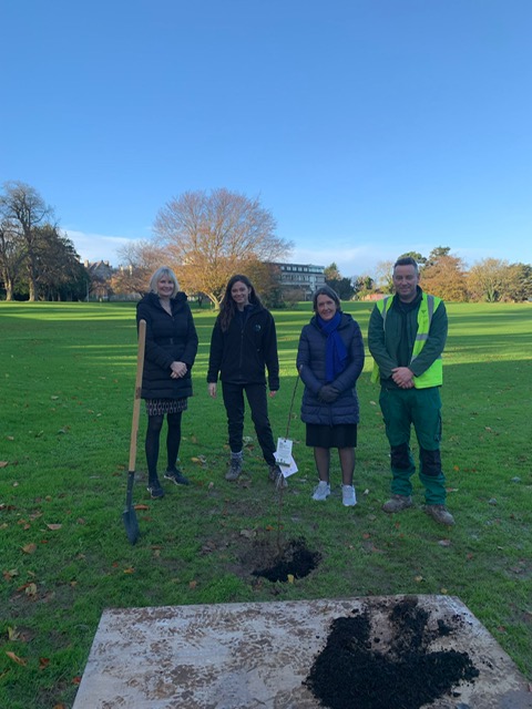 SJOGMHealth's tweet photo. We would like to say a big thank you to @MoyMaterialsLtd who very kindly donated 5 fruit trees  to us as part of the ‘Orchards in the Community’ initiative with @hostinireland. #savethebees #raisingthelandscape #dcforbees #thinkroofingthinkMOY #sustainability #proud https://t.co/gyF30aHQm7