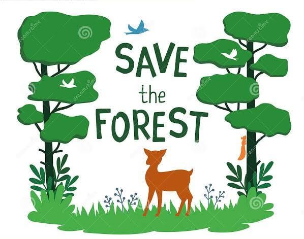 MuhammadAzanRa3's tweet photo. 1.Preserve forests, Preserve the planet.
 #Justice4QAU https://t.co/2FjI3CBhYS