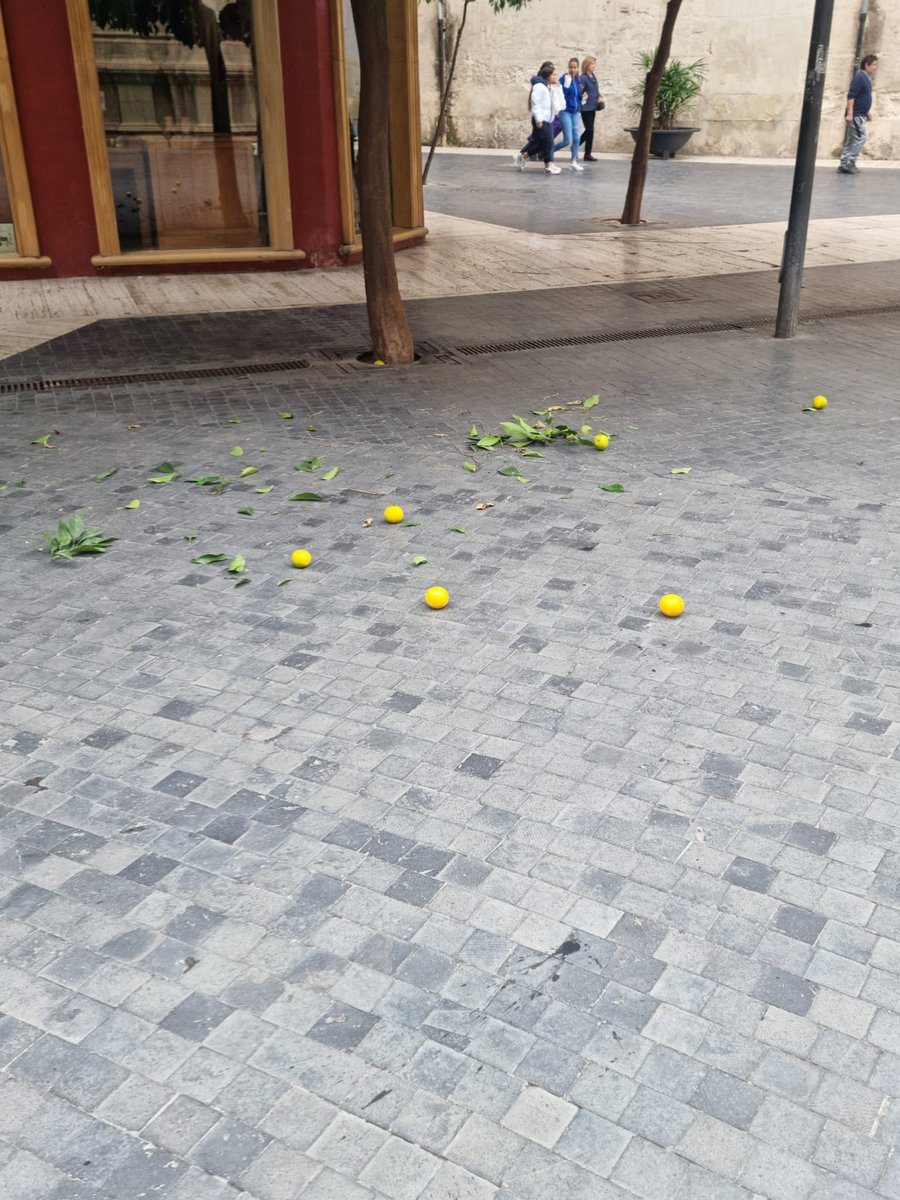 soscascoh's tweet image. Policía, Policía! Por qué nos habéis abandonado?

📍Avenida Río Segura: olvidamos retirar señalética y vallado, esperando a que la acción del viento pueda liberar la zona de lo inservible de esta actuacion.
📍Calle Apóstoles: nuevas zonas de carga y descarga.