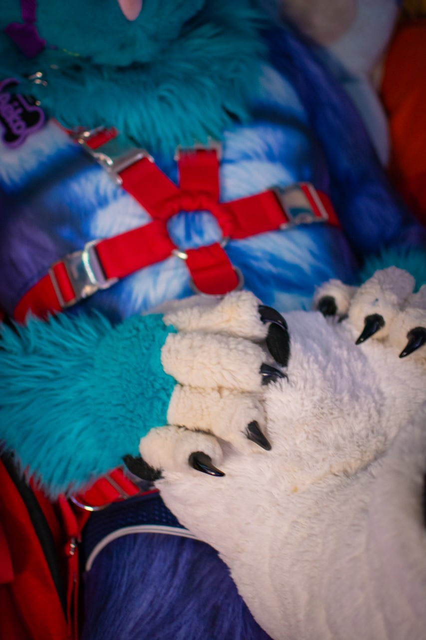 2 pic. Huffs thankies for the paws 👉👈 #murrsuit #murrsuitmonday https://t.co/QJ598ah6yu