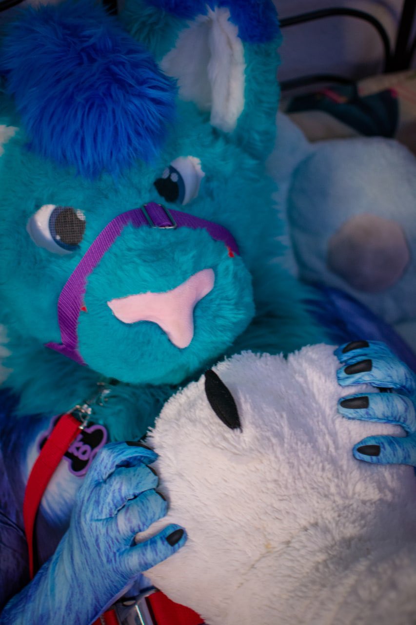 1 pic. Huffs thankies for the paws 👉👈 #murrsuit #murrsuitmonday https://t.co/QJ598ah6yu