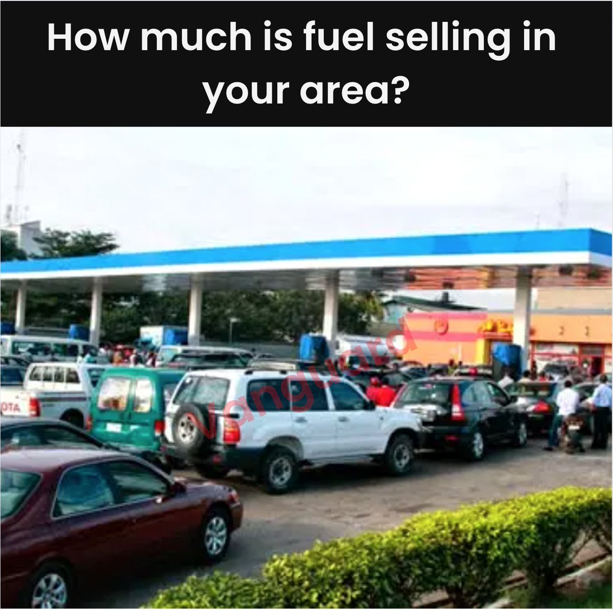 Vanguard Newspapers tweet media