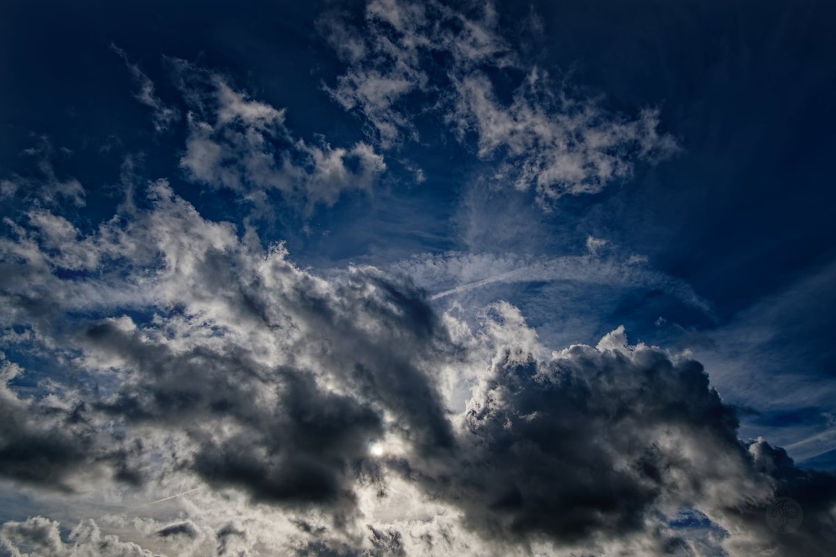 Jono Wongo Mcgoo (@jonowong23) on Twitter photo 