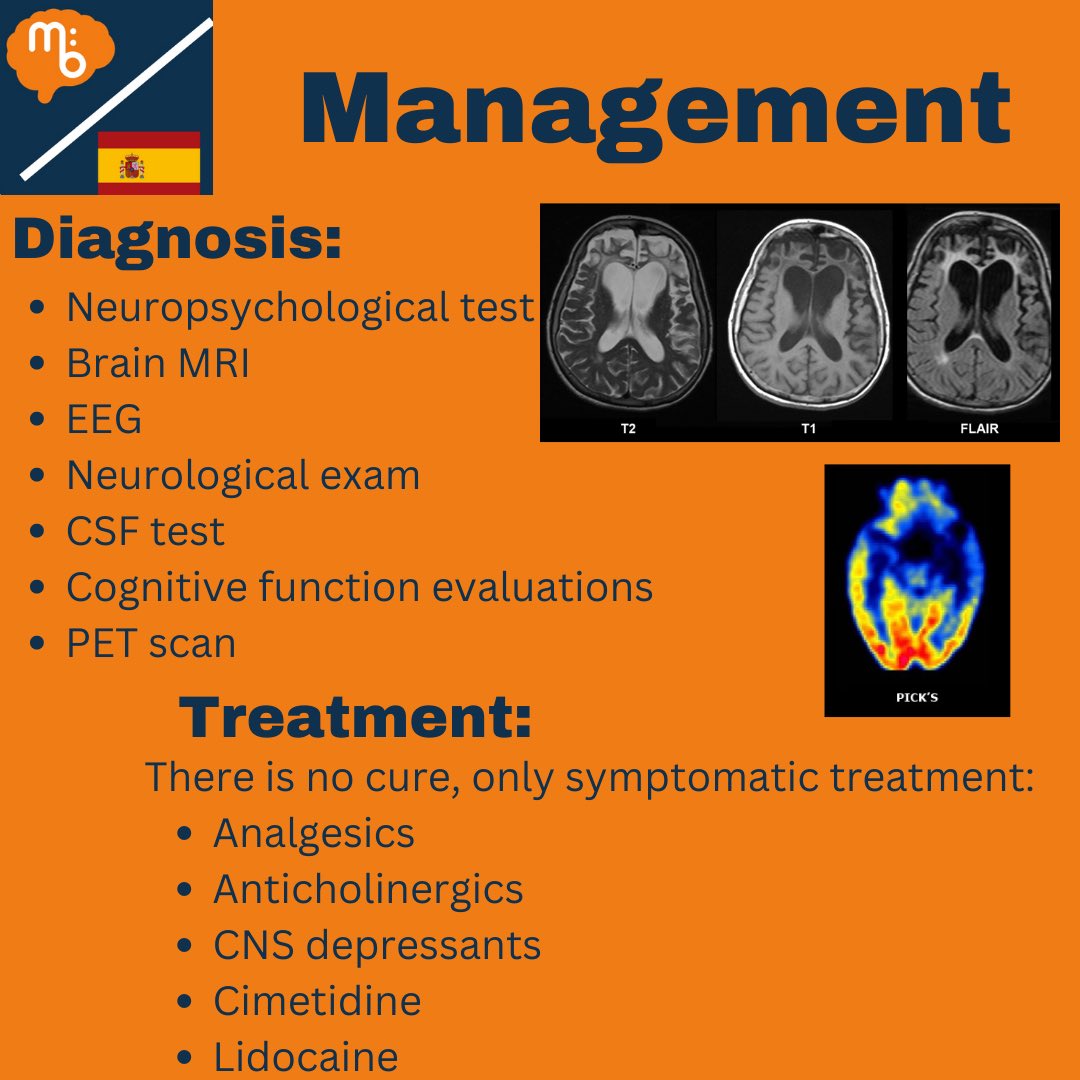 Mission:Brain Complutense tweet media