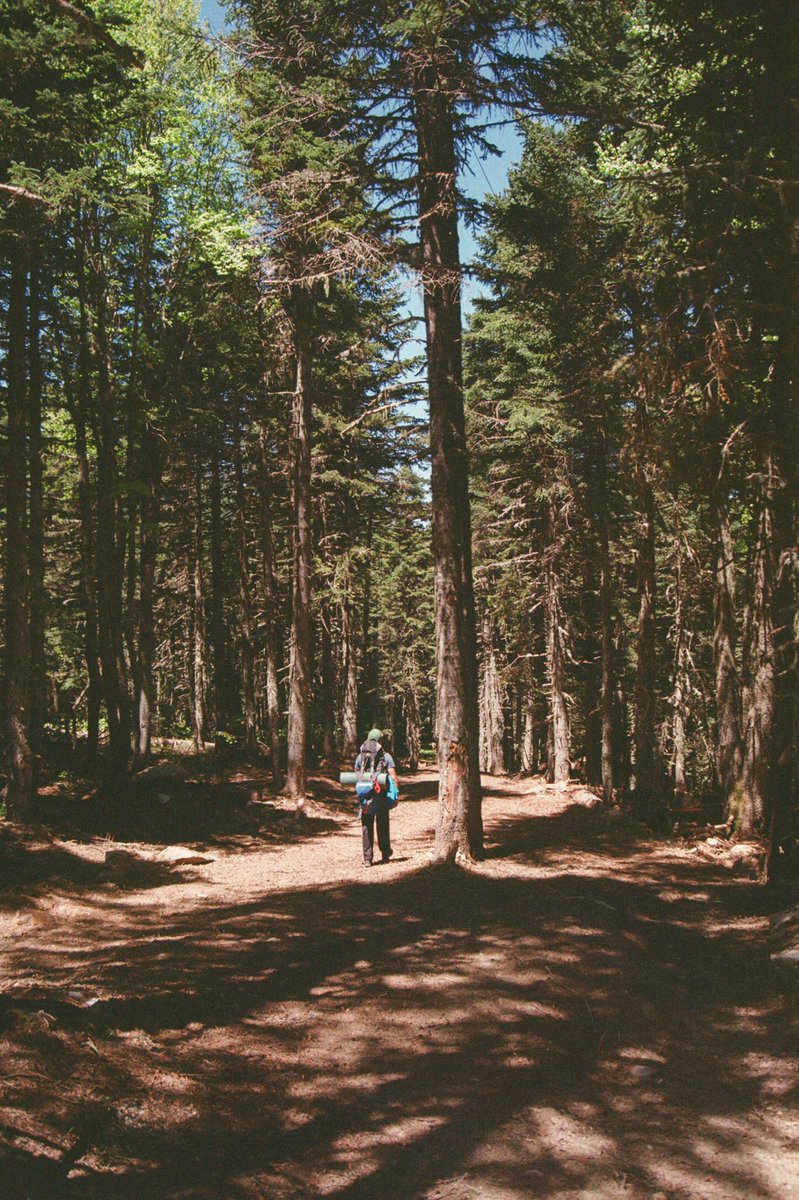 EfeYurdaer's tweet photo. #35mm Photos in the mountain - Kodak Proimage 100 @KodakProFilmBiz #kodak https://t.co/Yy4LFlC9mA