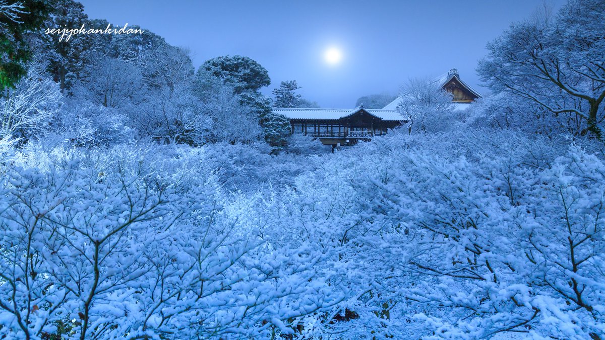 maaaaberaaaa's tweet image. 最近フォローして下さった方もおりますので、改めて自己紹介をしますと...普段は(?)京都の四季を追いかけるカメラマンをやっております。特に日の出、霧、雲海など、やや特殊条件を好んで撮っております。よろしくお願いします。