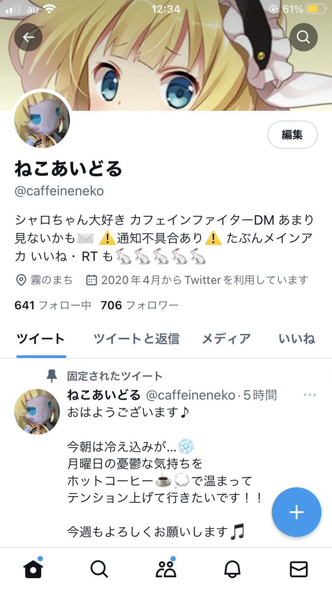 ネコアイドル tweet media