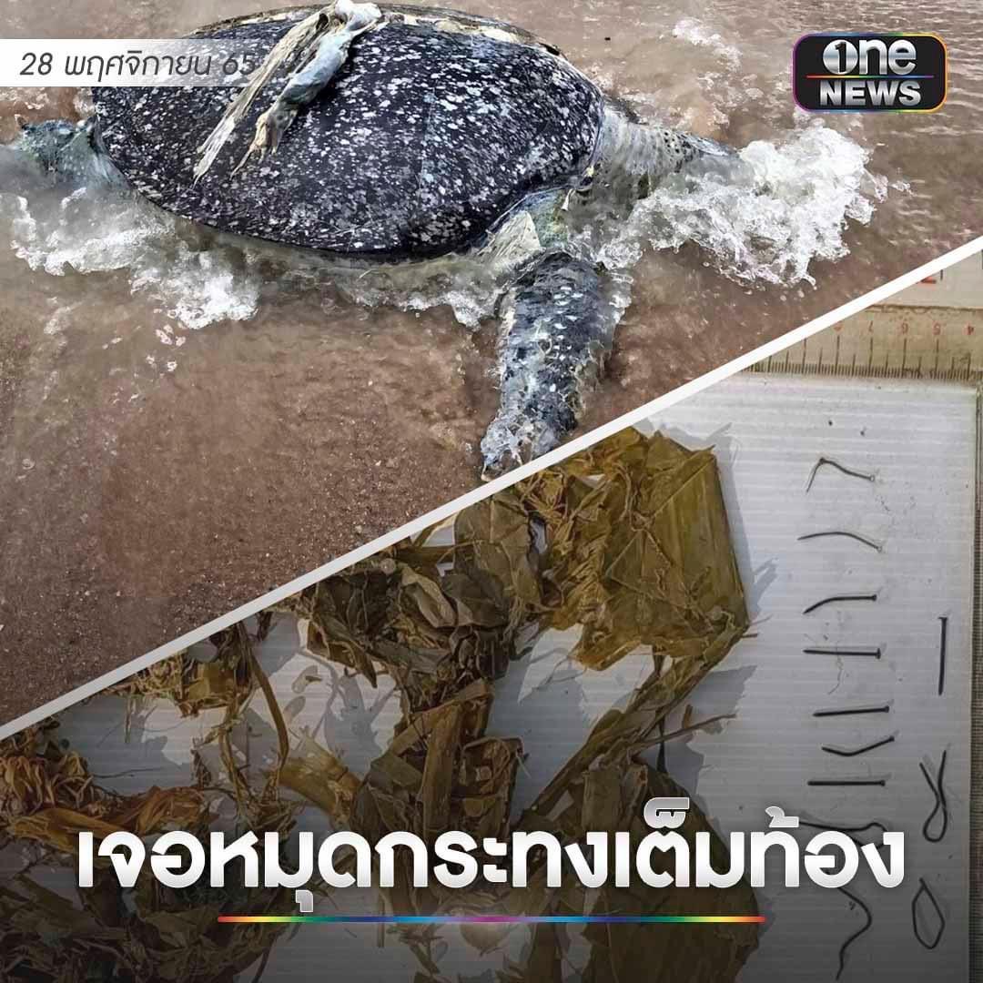 kritzelei's tweet photo. เลิกลอยกระทง ในแหล่งน้ำธรรมชาติ https://t.co/CnU1mpXEa7