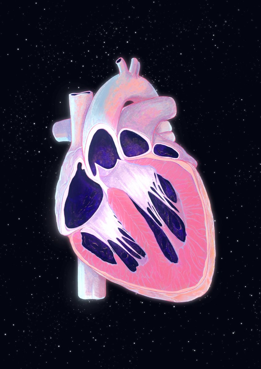 gaogaibaigu's tweet photo. Some strange attempts on medical illustration.#biovisualization https://t.co/ChJks3XRUz