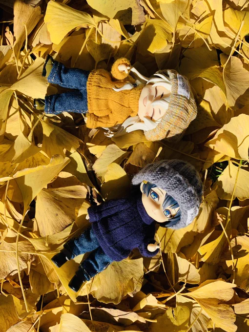 ねん達とポカポカ紅葉狩り楽しかった写真上手くなりたい 