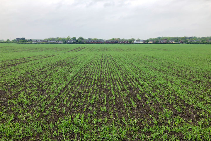 Nitrogen fertiliser prices are +£870/t.  <a href="/NRMLaboratories/">NRM</a>' #NCheck is designed to help manage fertiliser costs &amp; optimise crop production. It assesses how much nitrogen is in the soil after winter, so you know how much fertiliser is needed in Spring: cawood.co.uk/nrm/?utm_sourc…