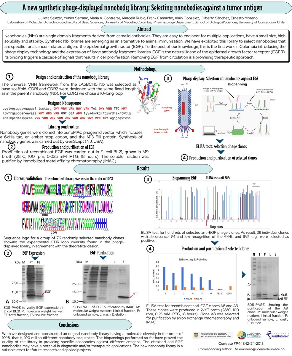 Julietau93's tweet photo. Hi @latinXChem, this is my work "A new synthetic phage-displayed nanobody library: Selecting nanobodies against a tumor antigen". #LatinXChem22 #LXChemBio #BIO066 https://t.co/UuA0X8E9Cv