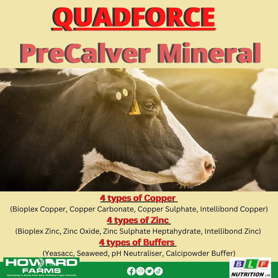 Top of the line QUADFORCE 4 in 1 Powder Pre Calver Mineral for Dairy &amp; Suckler cows
The formulation comprises of 4 types of Copper, Zinc &amp; Buffers 
Formulated in quantities to best suit their availabilities &amp; absorption for optimum utilisation 
Call today to order 022-26184