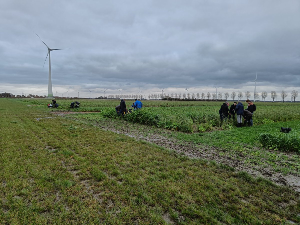 Mooie bijdrage aan symposium "meten bodemkwaliteit". Zelf aan de slag met beoordelen, beleven, proven en ruiken van de bodem. <a href="/BoerderijvandeT/">BoerderijvandeToekomst</a> @JanjodeHaan  <a href="/WUR/">Wageningen U&R</a>