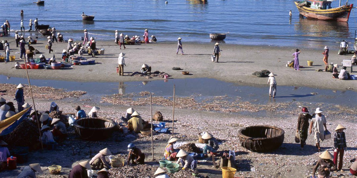 TheNISD's tweet photo. 📢Join us tomorrow
#IYAFA2022 has shown that women’s voices from the fishing industry are not heard enough. Help us share the challenges and solutions, told by experts from Global South fishing communities. 🎣
Full agenda & registration👇
https://t.co/snIhsO6tWv https://t.co/o9LLXCbioO