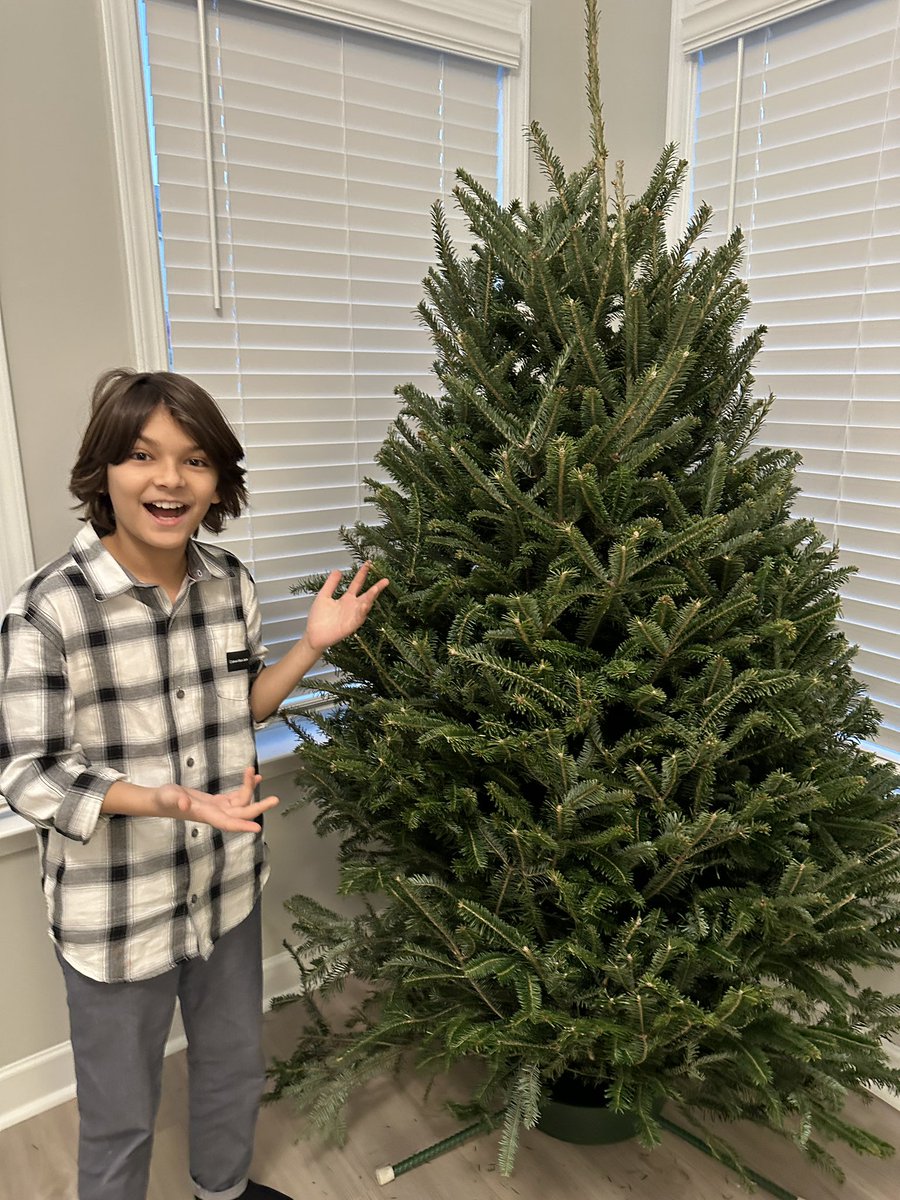 JackAustinActor's tweet photo. Getting our Christmas tree ready 🌲🌲 https://t.co/BhwnjOefpy