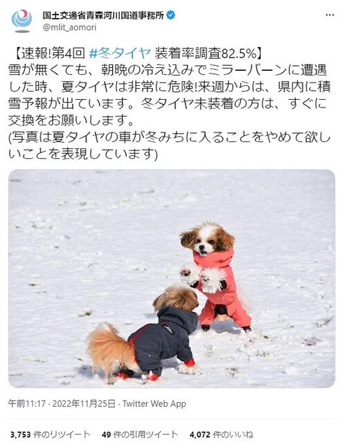 真面目か不真面目か！国交省の冬用タイヤ装着呼びかけがなぜか犬！