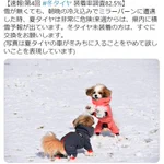 真面目か不真面目か!国交省の冬用タイヤ装着呼びかけがなぜか犬!