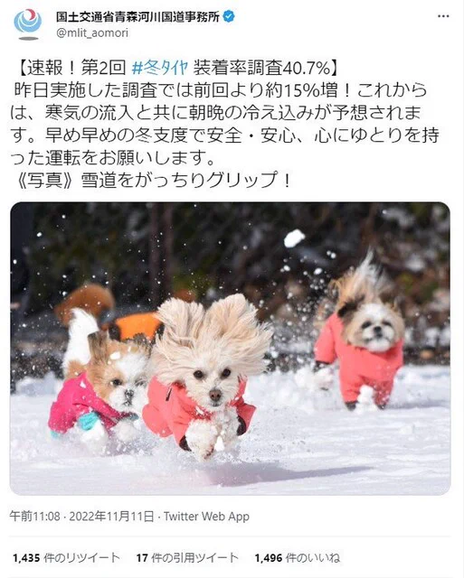 真面目か不真面目か！国交省の冬用タイヤ装着呼びかけがなぜか犬！