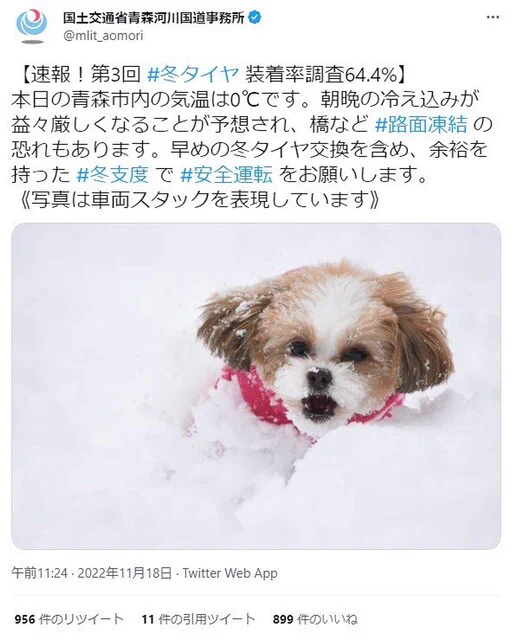 真面目か不真面目か！国交省の冬用タイヤ装着呼びかけがなぜか犬！