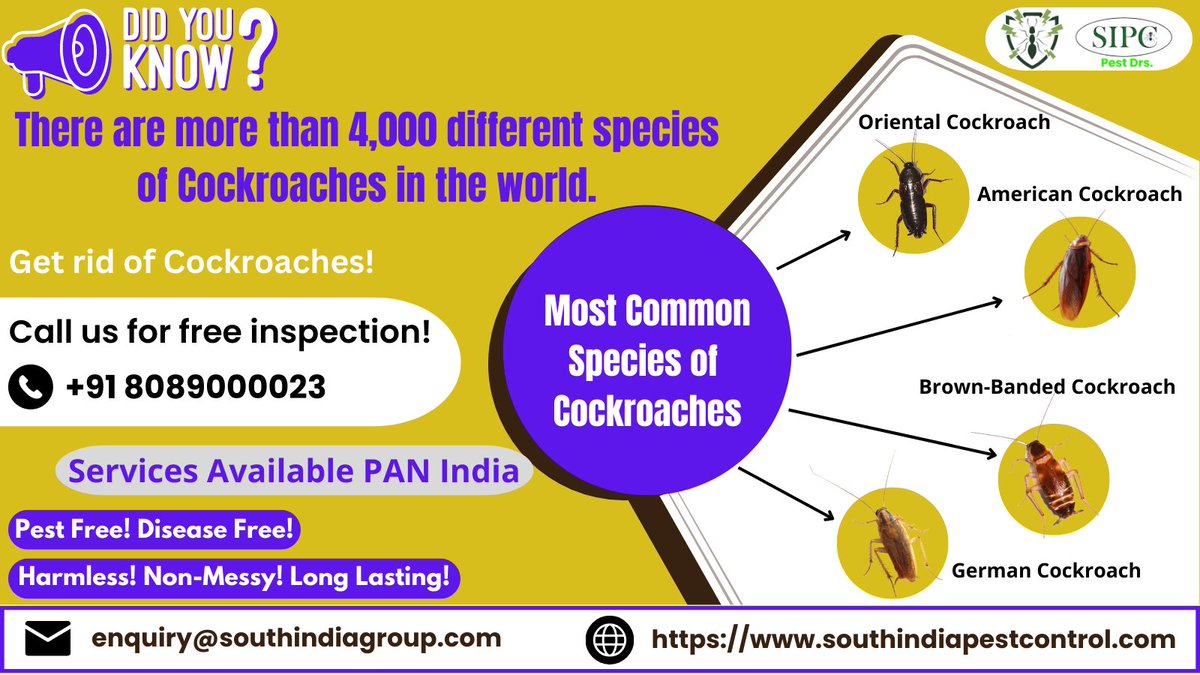 sipcpestcontrol's tweet photo. Cockroaches are more irritating pests in any house. for that SIPC pest control offers cockroach control services. Get in touch with us.https://t.co/61P5Ktcwbu 8089000023 #cockroaches #cockroachcontrol #cockroachcontrolservice #cockroachgel #cockroachkiller #pestcontrolservice https://t.co/GL6bviGhn2