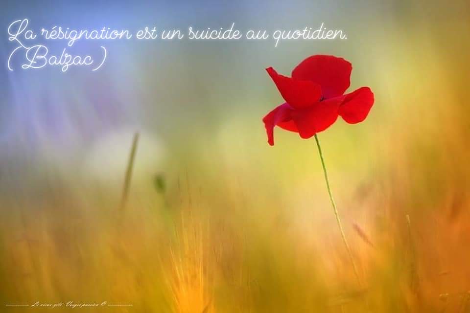 AudeVisine's tweet photo. #citation #Balzac
De la différence entre l'#acceptation et la #résignation
Pour tous les #maladeschroniques notamment
📷 #ChristianHoffner https://t.co/dxeuFYWGLI