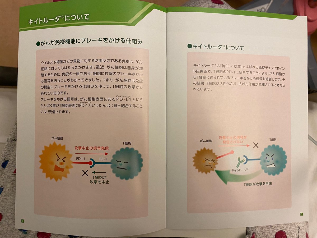 入院以来毎夜38.5℃前後の熱がありまして、危ぶまれていた週明け今日の新しい抗がん剤投与は無事敢行

私の主治医は絶対余命の話は口にしない

でもね
自分の体の一番の主治医は自分自身
私の命の灯火が日に日に細く弱まりつつあるのは実感してる
と同時に"まだわからんよね？"という自分もいる
