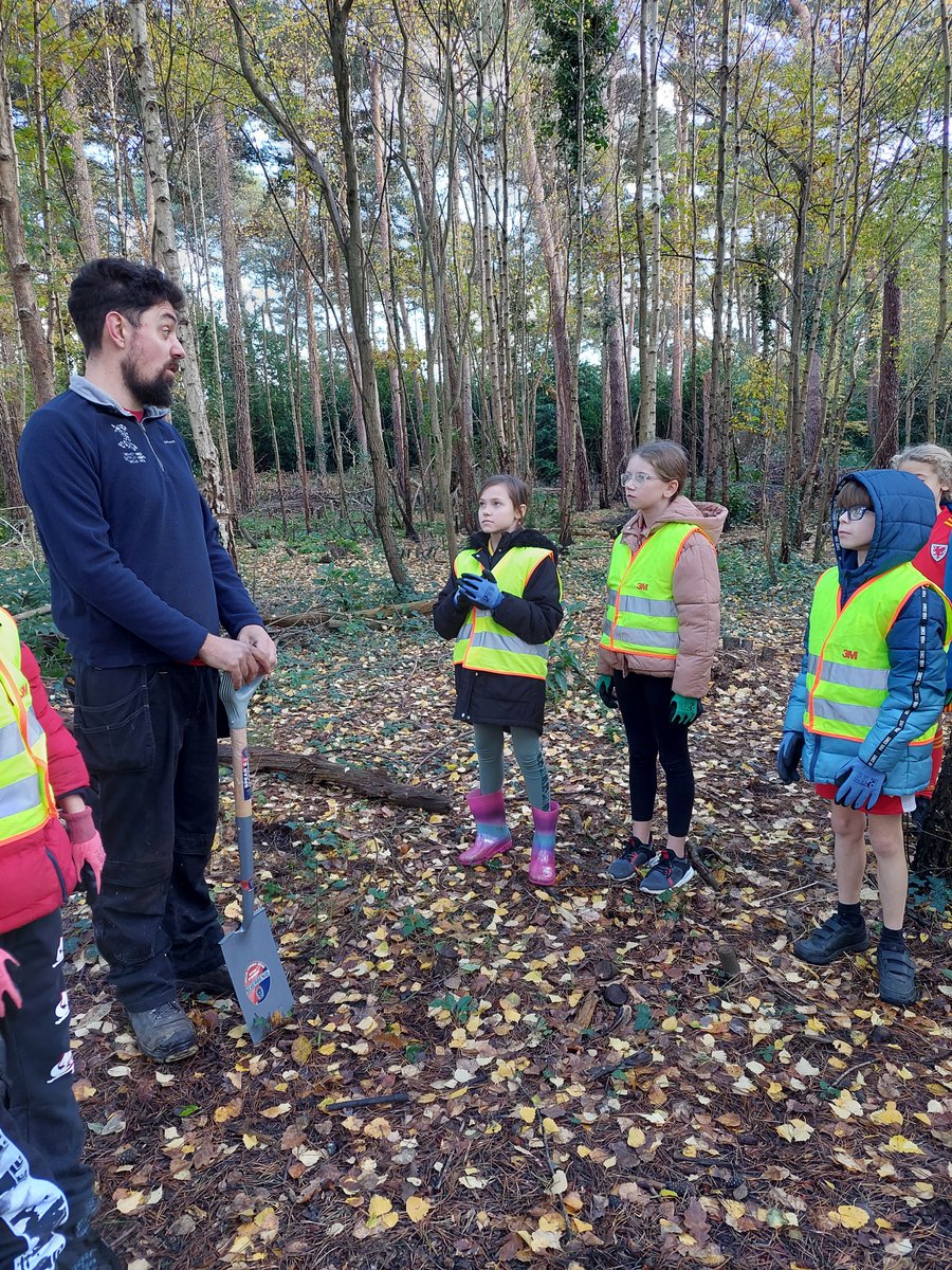 Woodland Routes to Wellbeing tweet media