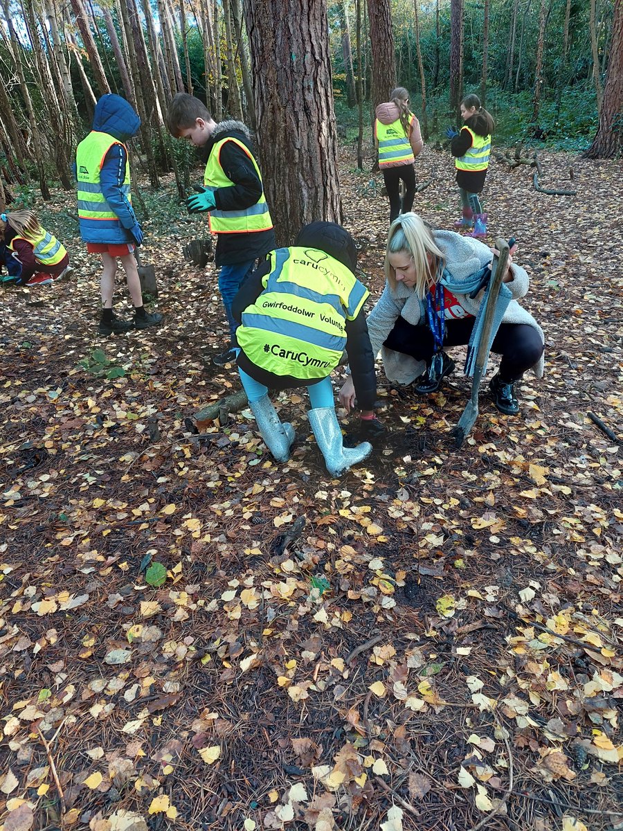 Woodland Routes to Wellbeing tweet media