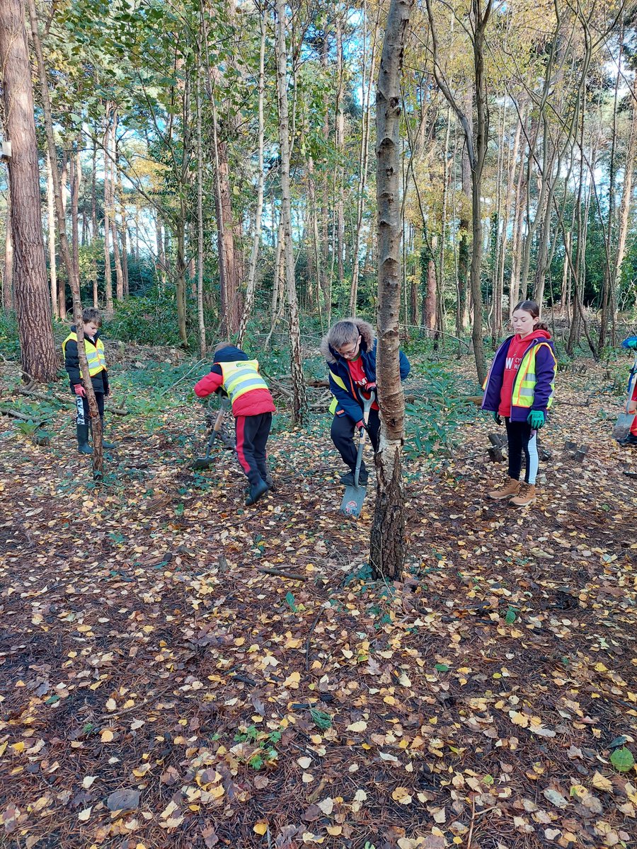 Woodland Routes to Wellbeing tweet media