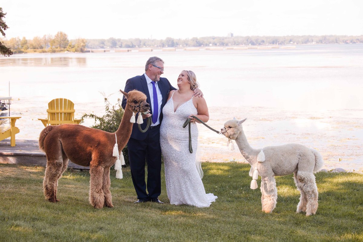 ohalpacas's tweet photo. Enjoy some #behindthescenes fun at a beautiful summer #wedding. Thanks again to this great couple and their family for making us welcome.
#OHalpacas #alpacas #alpacawedding #weddingparty #weddingphotographers #weddingsofinstagram #weddingideas #weddingday #weddingseason https://t.co/3eQDgNuTro