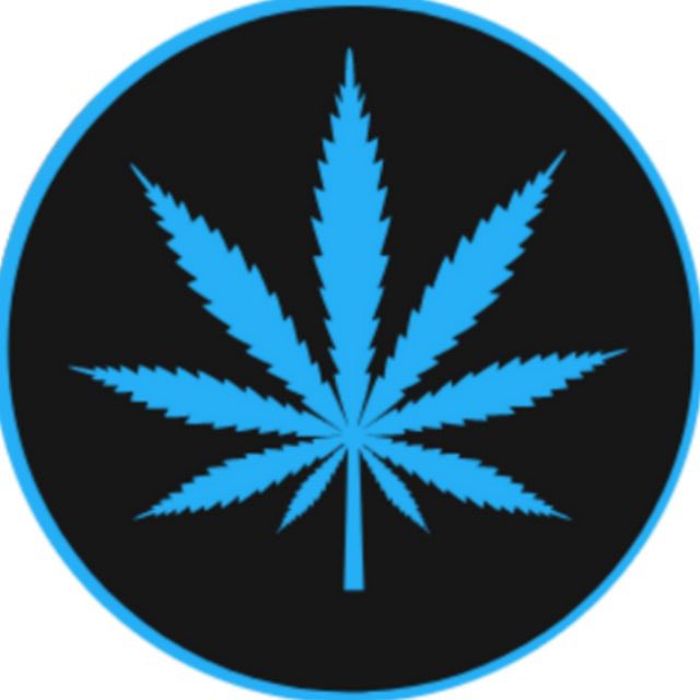 TombRaid5's tweet photo. @okayokayokay911 @cryptogems555 @FortuneWeed @elonmusk @1goonrich @LCaesars0 https://t.co/JJUGhHkoxc