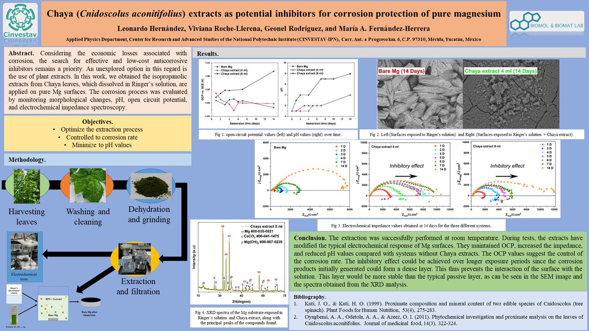 Leonardo Hernandez (@lherpat) on Twitter photo Hola <a href="/LatinXChem/">LatinXChem</a>, este es mi trabajo 'Chaya (Cnidoscolus aconitifolius) extracts as potential inhibitors for corrosion protection of pure magnesium', #LatinXChem22 #LXChemPhys #Phys45 Hola <a href="/LatinXChem/">LatinXChem</a>, este es mi trabajo 'Chaya (Cnidoscolus aconitifolius) extracts as potential inhibitors for corrosion protection of pure magnesium', #LatinXChem22 #LXChemPhys #Phys45