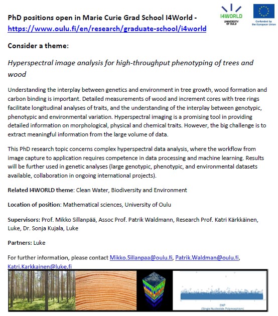 PhD position in statistics, statistical genetics - come to develop methods to see and understand forests, trees and wood #I4World @UniOulu @LukeFinlandInt
