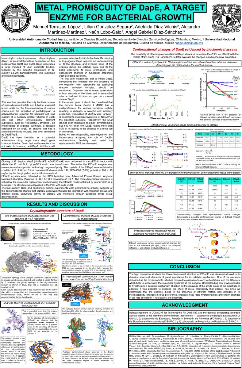 ManuelT16327122's tweet photo. Hi @LatinXChem, this is my work ''Metal promiscuity of DapE, a target enzyme for bacterial growth'', #LatinXChem22 #LXChemBio #BIO083
I'm Manuel Terrazas-López, I'm a PhD student. I'm working in the Protein Biochemistry Lab of UACJ and in the Structural Biology Lab at UNAM🦠🥼🧬 https://t.co/JDRTKlFMhU