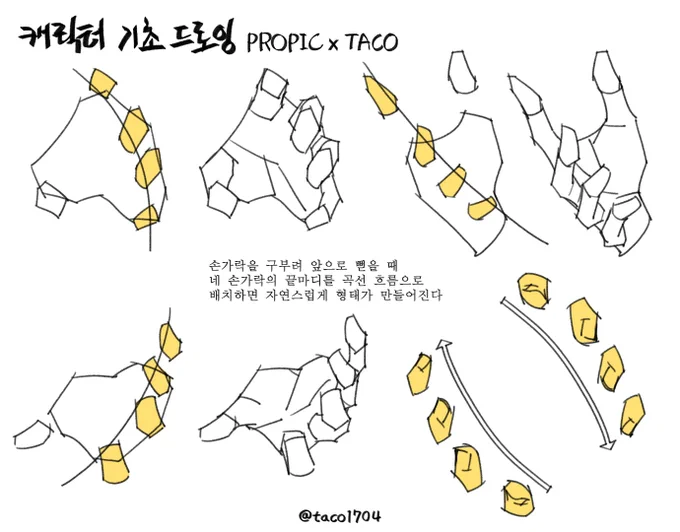네 손가락 끝마디를 곡선 흐름으로 배치하면 형태가 자연스러워진다 