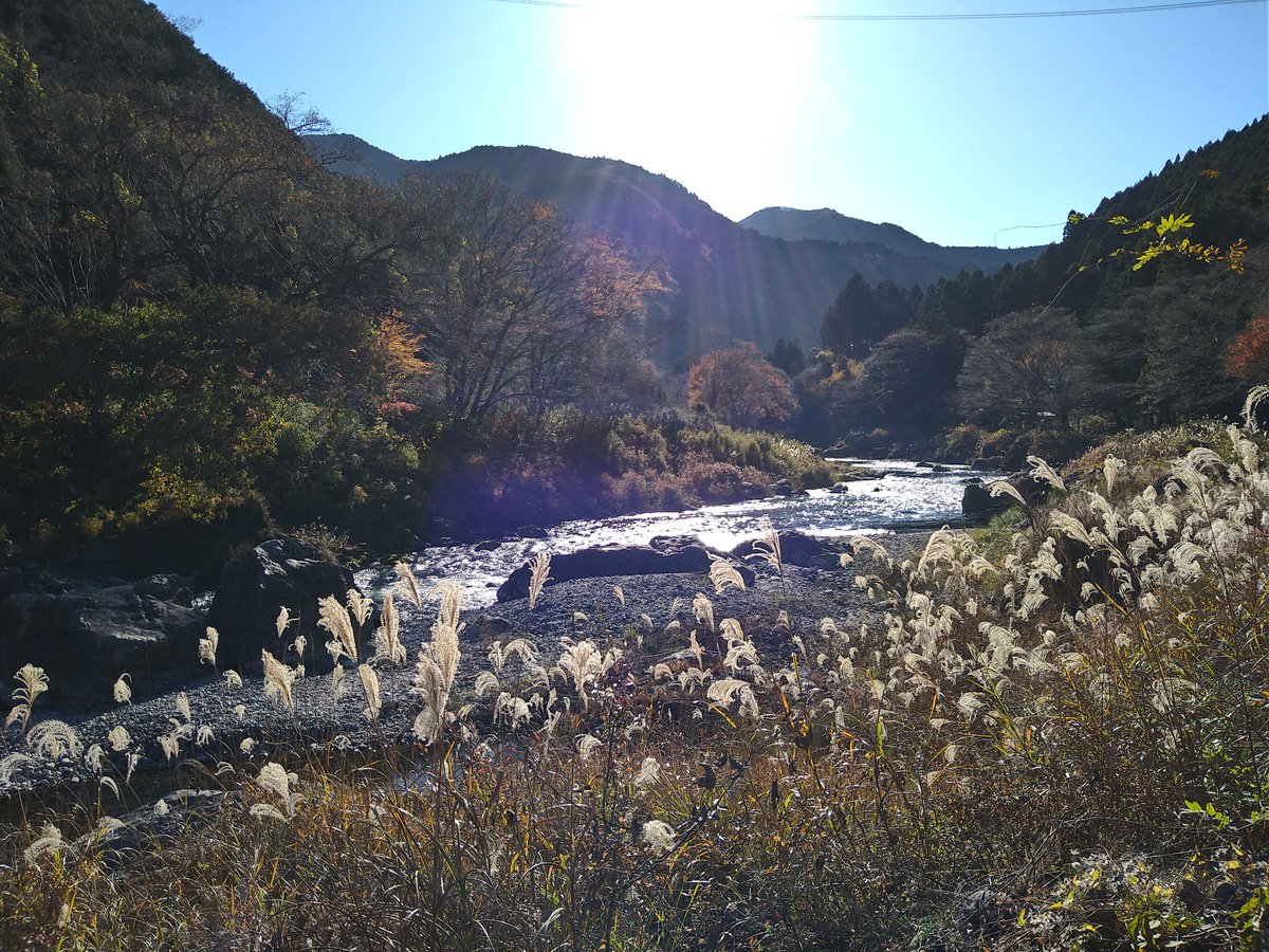 昨日は御岳渓谷に行ってみました
山は以前登りましたが、川沿いは初めてですね！
紅葉は終わり気味でしたが、とても良いところでした
あと1週早く来たかったですね…