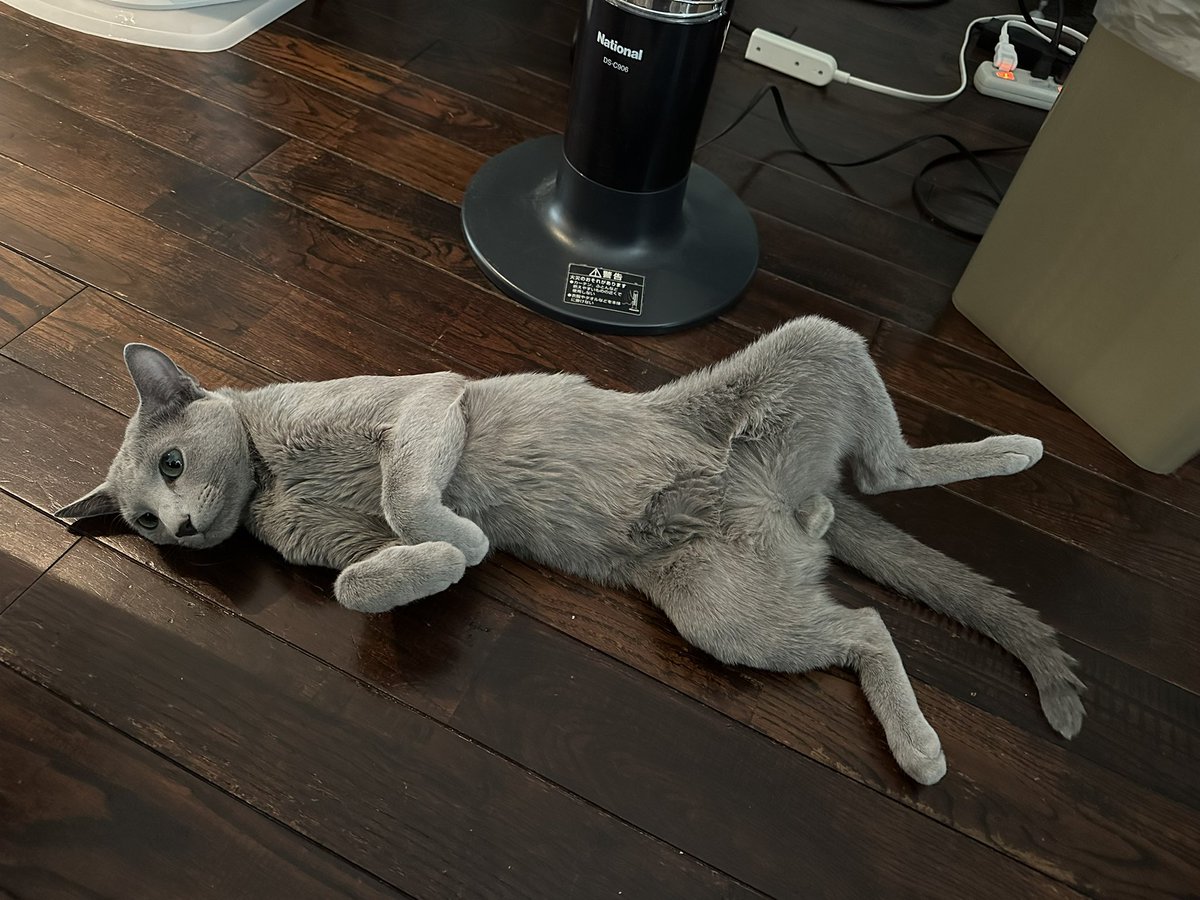 ストーブの前でポカポカ♡