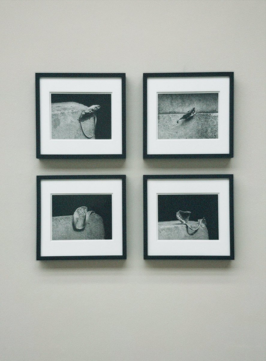 kitiwullich's tweet photo. fragilités at @TheRudolfinum 

#Art #fineartphotography https://t.co/XkPZOQqry3