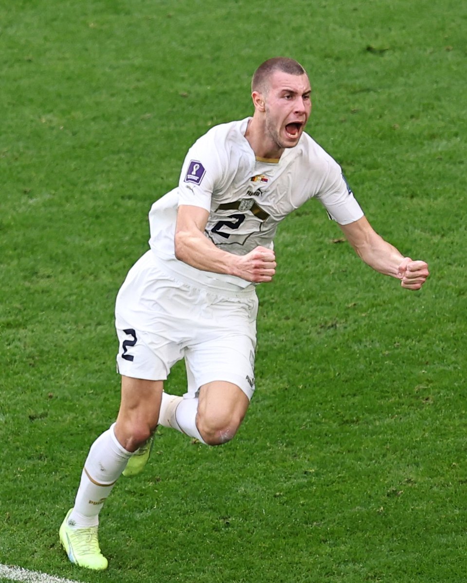 dosifygist's tweet image. ⚽️ 45+1' - Pavlovic
⚽️ 45+3' - Milinkovic-Savic
What a turnaround for @fudbalskisavezsrbije!